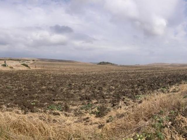 Terreno en venta Vejer de la Frontera