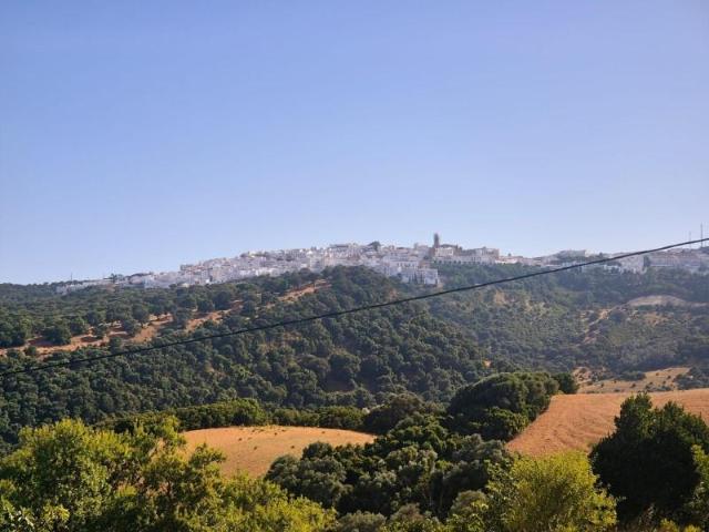Terreno en venta Vejer de la Frontera