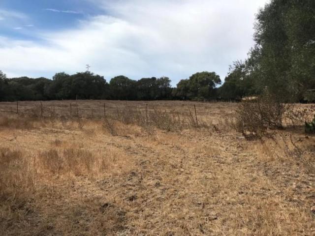 Terreno en venta Vejer de la Frontera