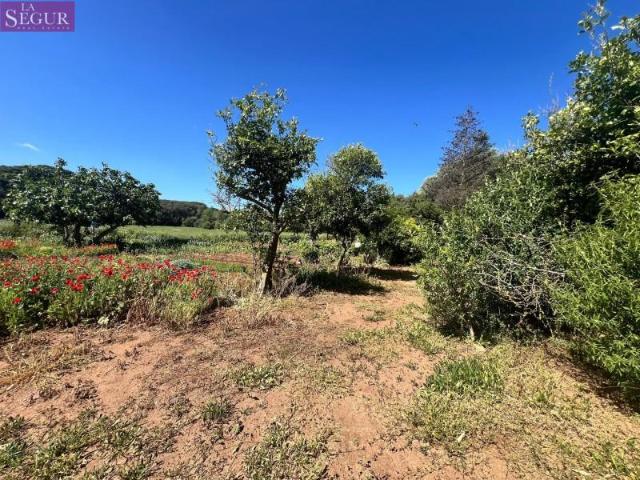 Terreno en venta Vejer de la Frontera