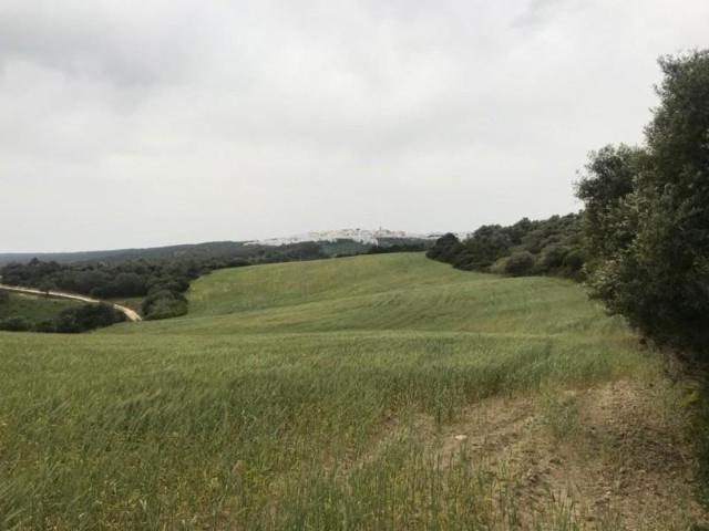 Terreno en venta Vejer de la Frontera