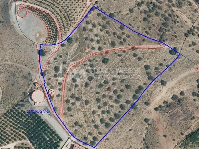Terreno en venta Vélez Málaga