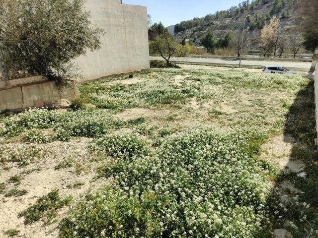 Terreno en venta Vélez Rubio