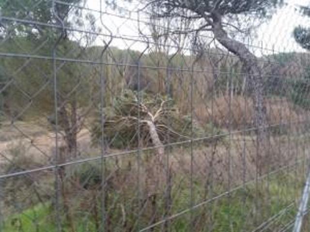 Terreno en venta Viana de Cega