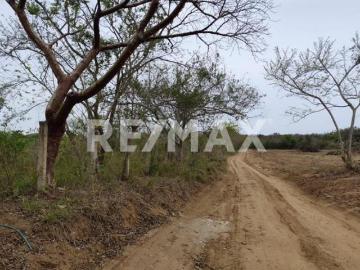 Terreno en venta Villa Cuauhtémoc, Ver. 4