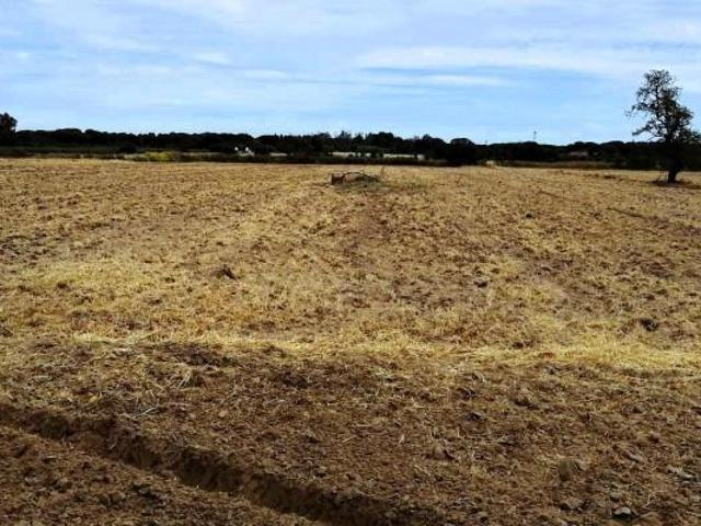 Terreno en venta Villamanrique de la Condesa