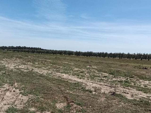 Terreno en venta Villamanrique de la Condesa