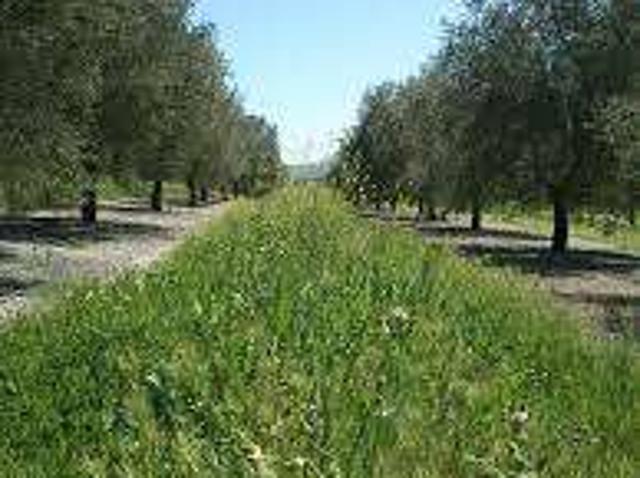 Terreno en venta Villanueva de la Reina