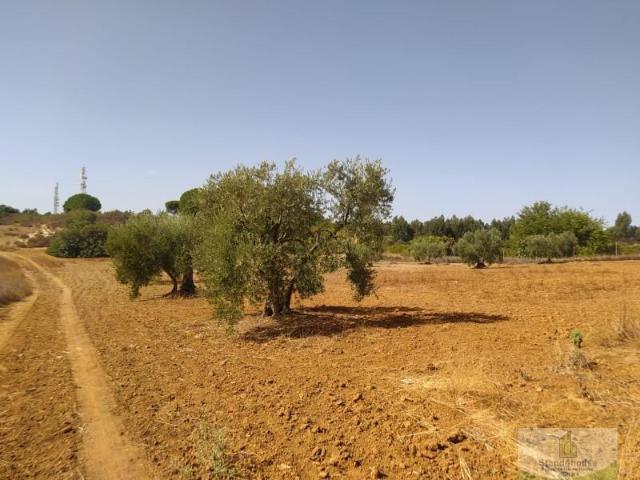 Terreno en venta Villarrasa