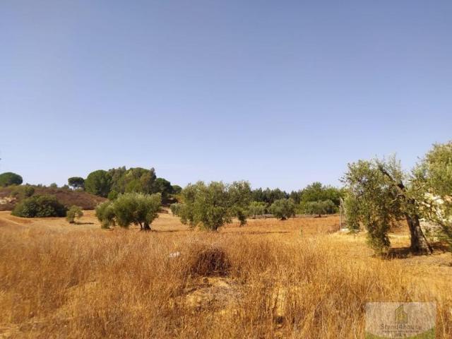 Terreno en venta Villarrasa