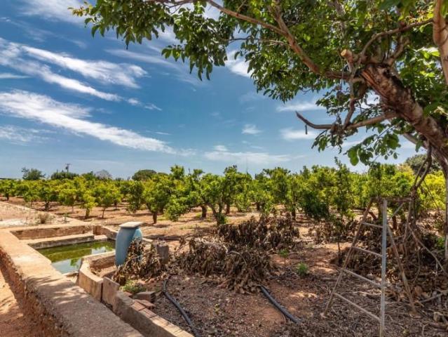 Terreno en venta Villarreal