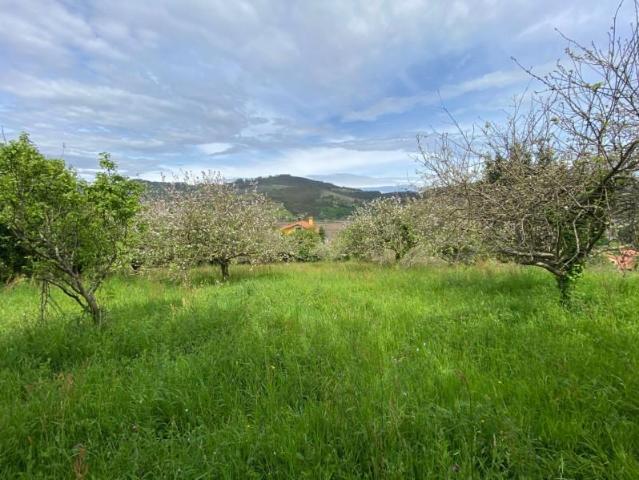 Terreno en venta Villaviciosa