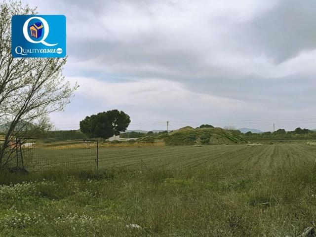 Terreno en venta Villena