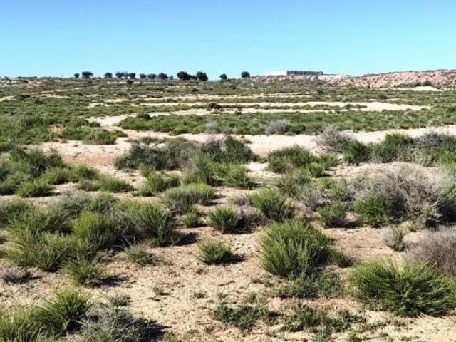 Terreno en venta Villena