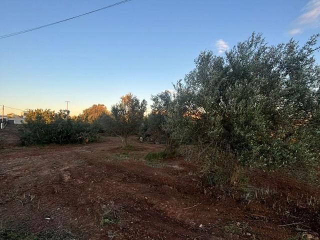 Terreno en venta Vinaròs