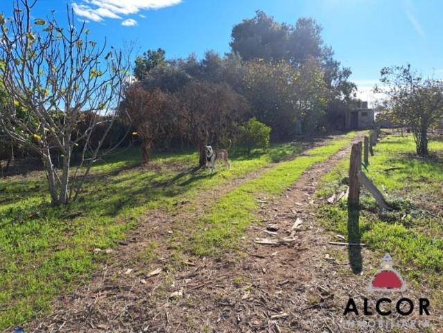 Terreno en venta Vinaròs
