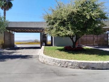 TERRENO EN VENTA VIÑEDOS DEL POLO