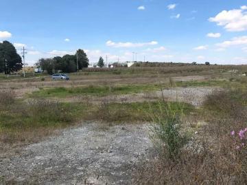 TERRENO EN VENTA Y RENTA, ALMOLOYA DE JUÁREZ. MEX