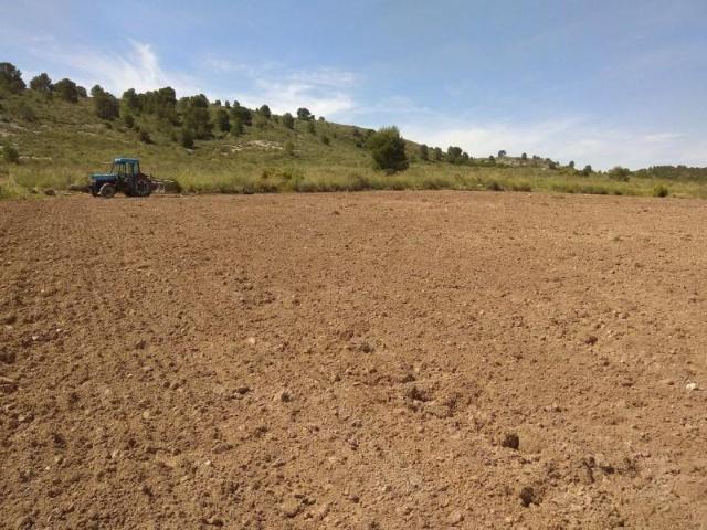 Terreno en venta Yecla