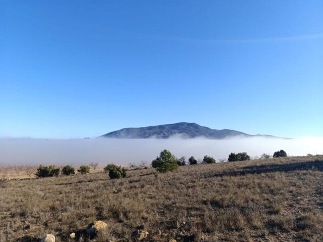 Terreno en venta Yecla