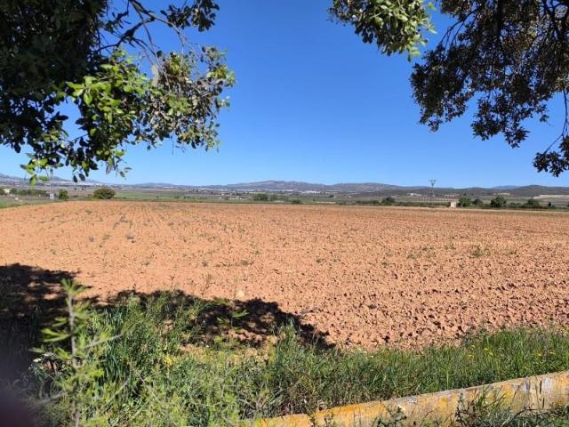 Terreno en venta Yecla