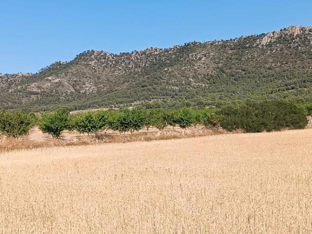 Terreno en venta Yecla