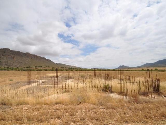 Terreno en venta Yecla