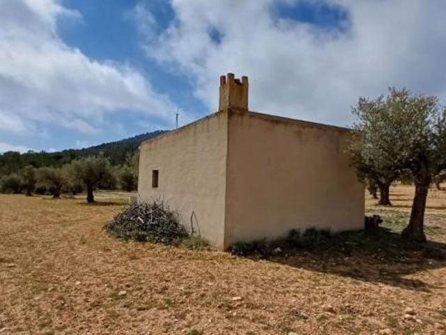 Terreno en venta Yecla