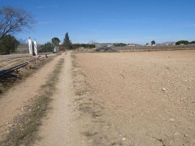 Terreno en venta Yecla