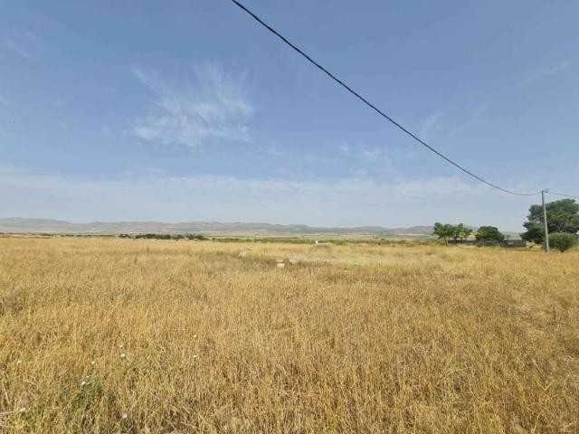 Terreno en venta Yecla