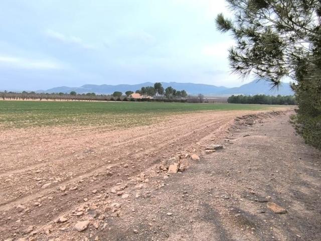 Terreno en venta Yecla