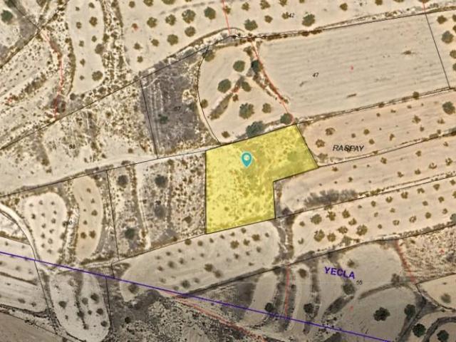 Terreno en venta Yecla