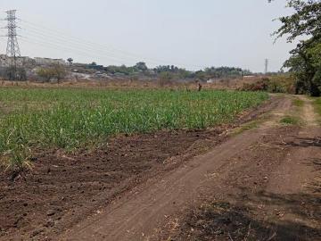 Terreno en venta zona industrial, en Tezoyuca del municipio de E. Zapata, Morelos