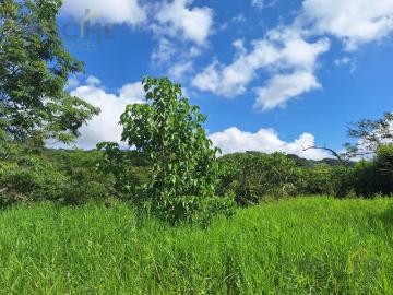 Terreno en venta, zona Las Trancas Emiliano Zapata Veracruz