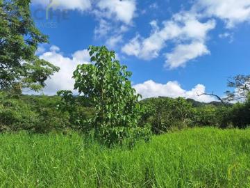 Terreno en venta, zona Las Trancas Emiliano Zapata Veracruz