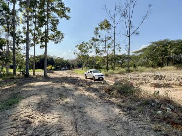 Terreno en venta zona Las Trancas Fraccionamiento Coalición Magisterial