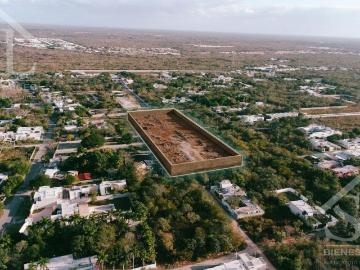 Terreno en venta, Casa habitaci?n, ideal para un desarrollo Residencial, Cholul Yucatan