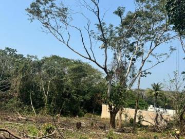 TERRENO EN VENTA 1500 m2 CORONEL TRACONIS ZONA AEROPUERTO