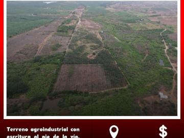 Terreno en venta 1600ha en Chanduy agroindustrial al pie de la Vía. Ideal camaronera. Credit direct Terreno en Venta en Engunga Chanduy