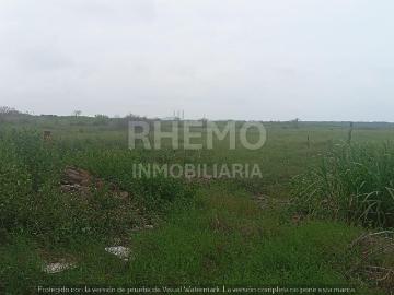 Terreno en Venta 1 Hect?rea, Petrolera, Tuxpan, Ver