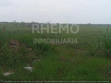 Terreno en Venta 1 Hectárea, Petrolera, Tuxpan, Ver