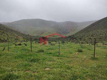 TERRENO EN VENTA 26 HECTAREAS EN VALLE LAS PALMAS DELEGACION LA PRESA TIJUANA BAJA CALIFORNIA