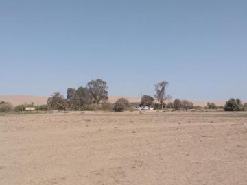Terreno en Venta – 22,250 m² – Panamericana Sur Km 234 – Pisco, Ica – $1,000,000