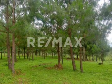 Terreno en Venta 4