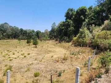Terreno en Venta 4