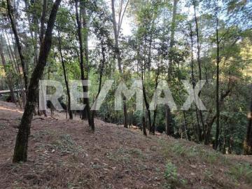 Terreno en Venta 4
