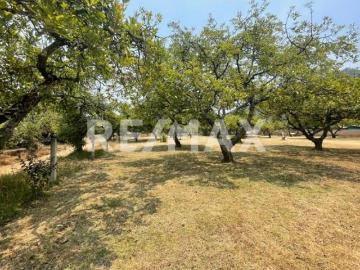 Terreno en Venta 4