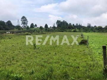 Terreno en Venta 4