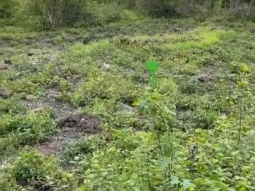 Terreno en Venta 4