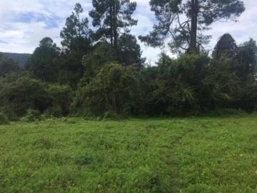 Terreno en venta. 4